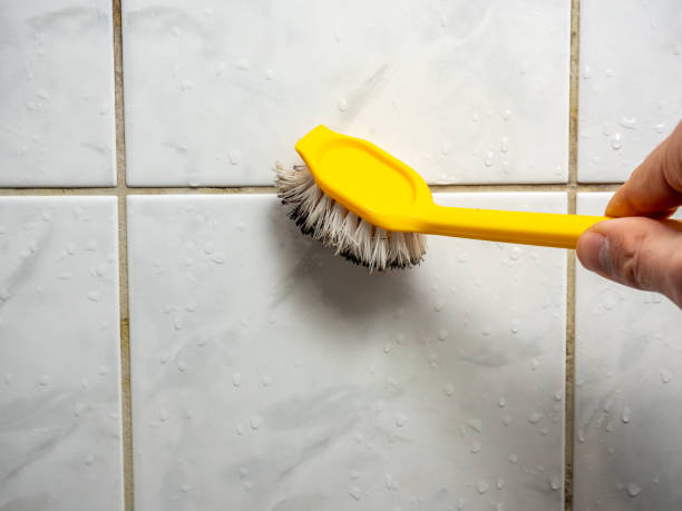 Best Same-Day Mold Removal  in Bertram, TX