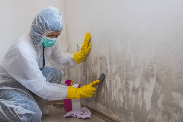 Best Water Damage Restoration  in Bertram, TX