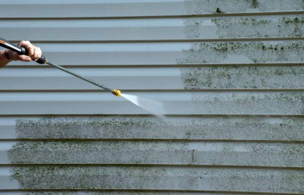 Best Certified Mold Removal  in Bertram, TX