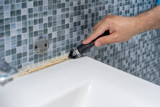 Best Emergency Mold Removal  in Bertram, TX
