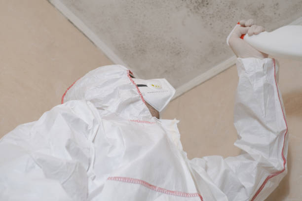 Best Mold Remediation  in Bertram, TX