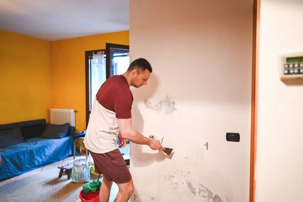 Best Mold Inspection  in Bertram, TX