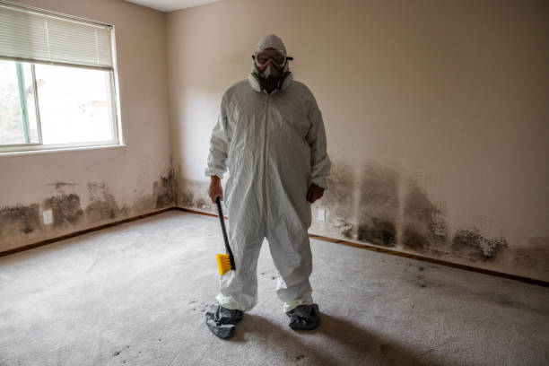 Best Home Mold Removal  in Bertram, TX